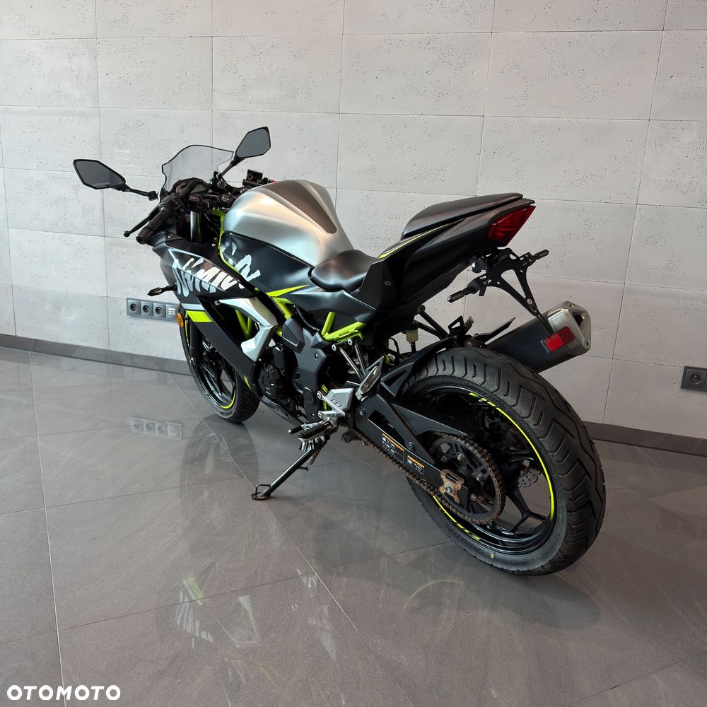 Kawasaki Ninja - 9