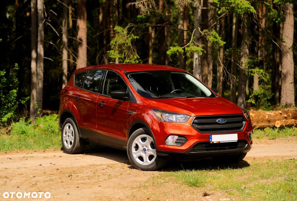 Ford Escape - 5