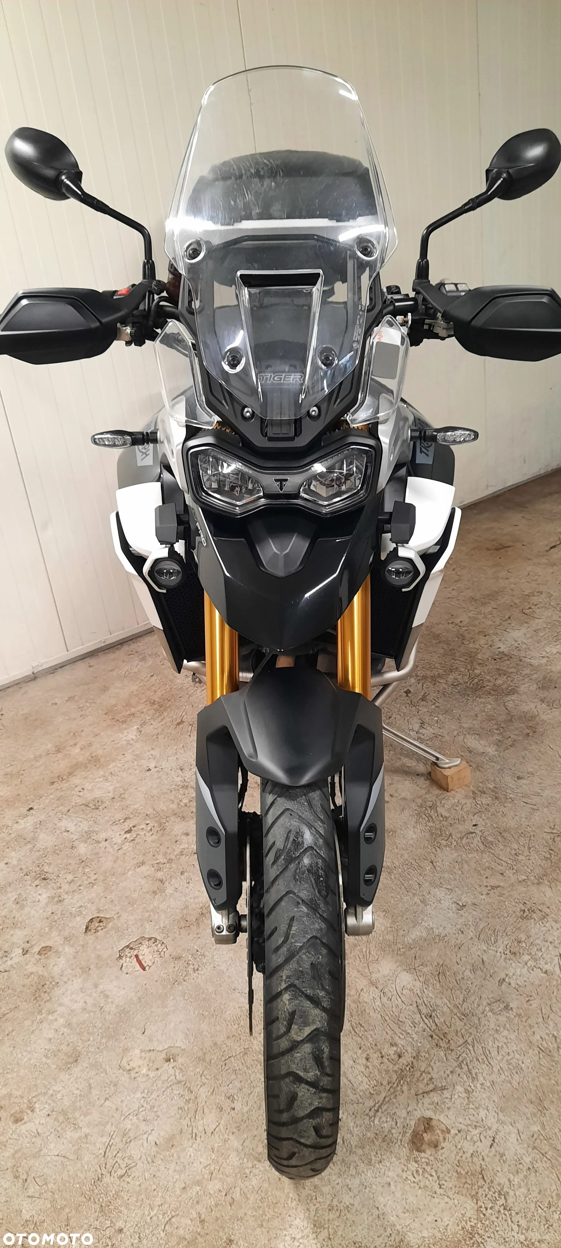 Triumph Tiger - 12