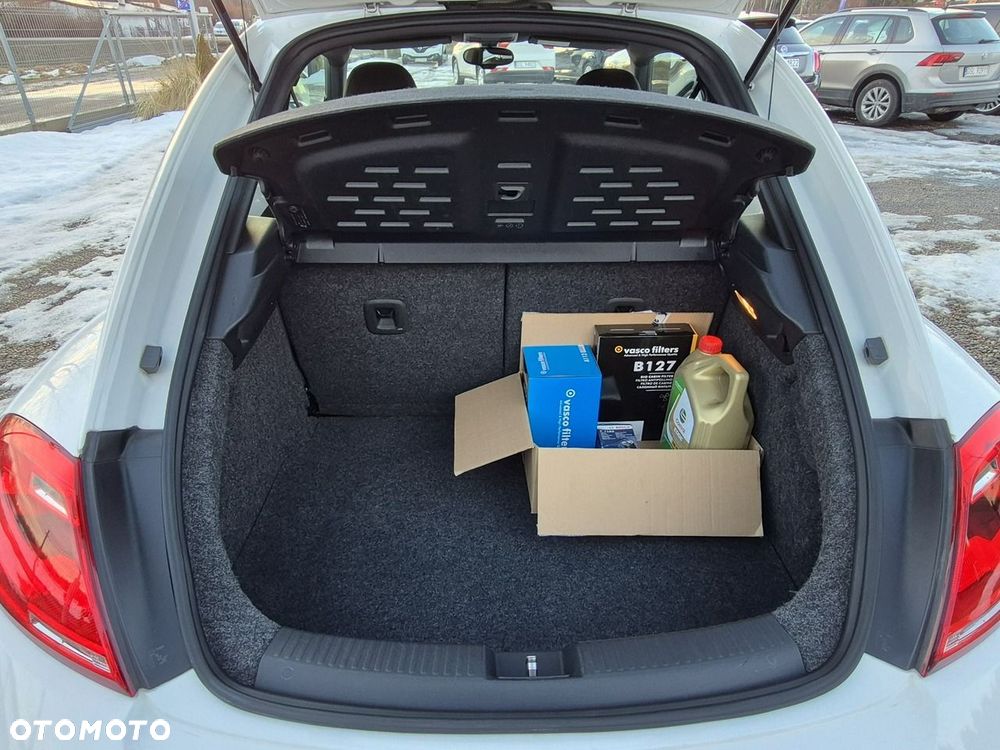 Volkswagen Beetle - 9