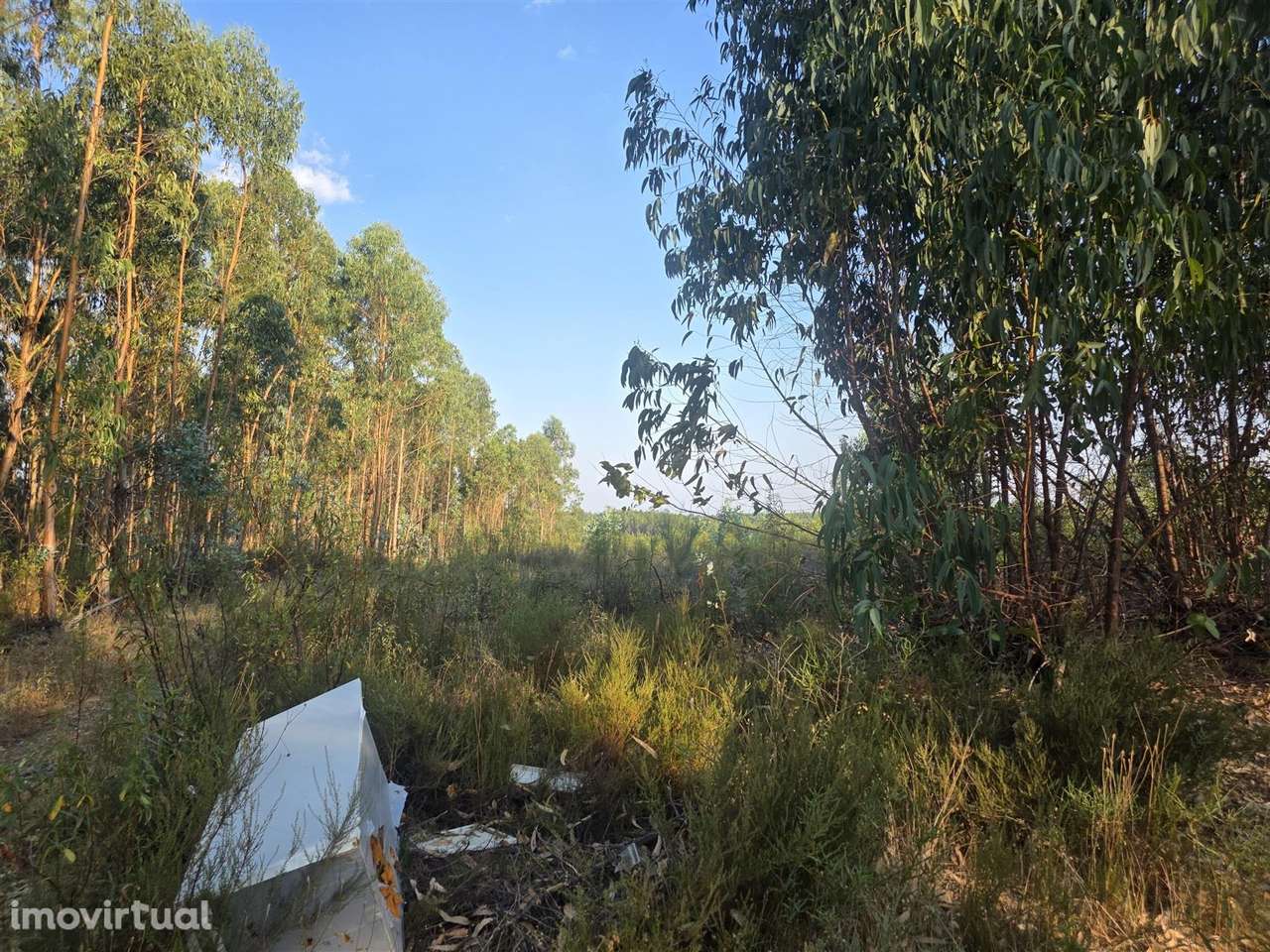 Terreno Rústico - Grande imagem: 2/9