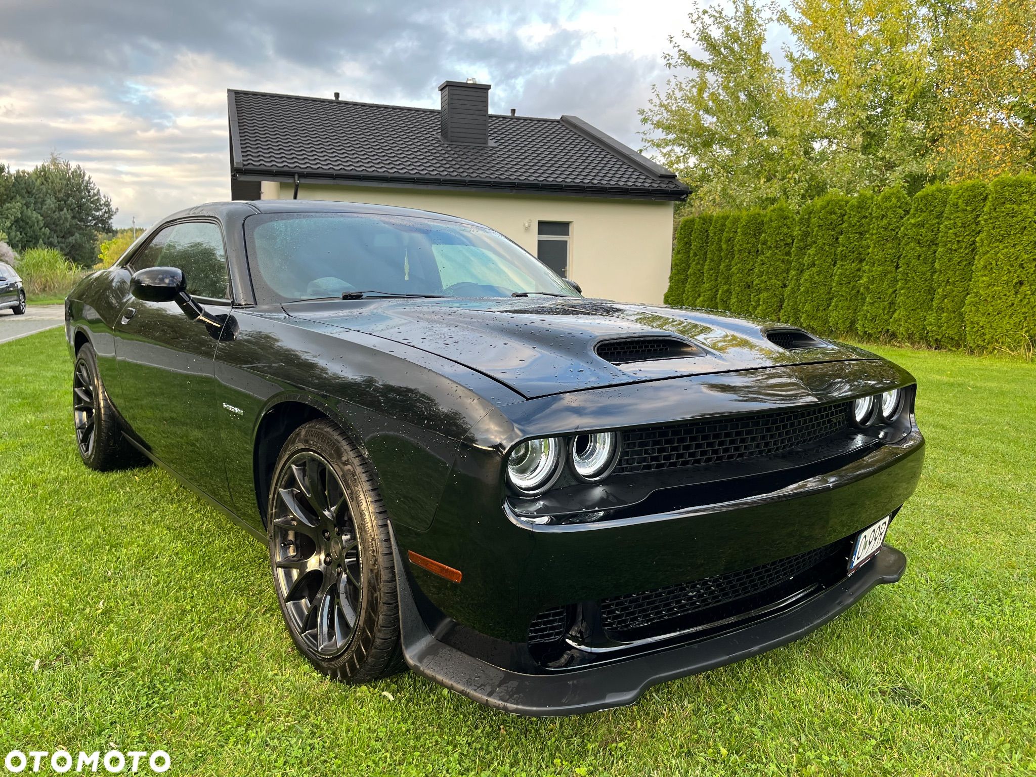 Dodge Challenger - 1