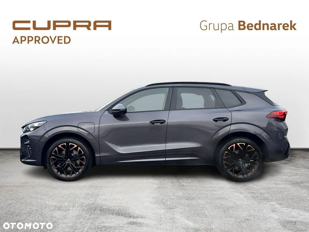 Cupra Terramar - 2