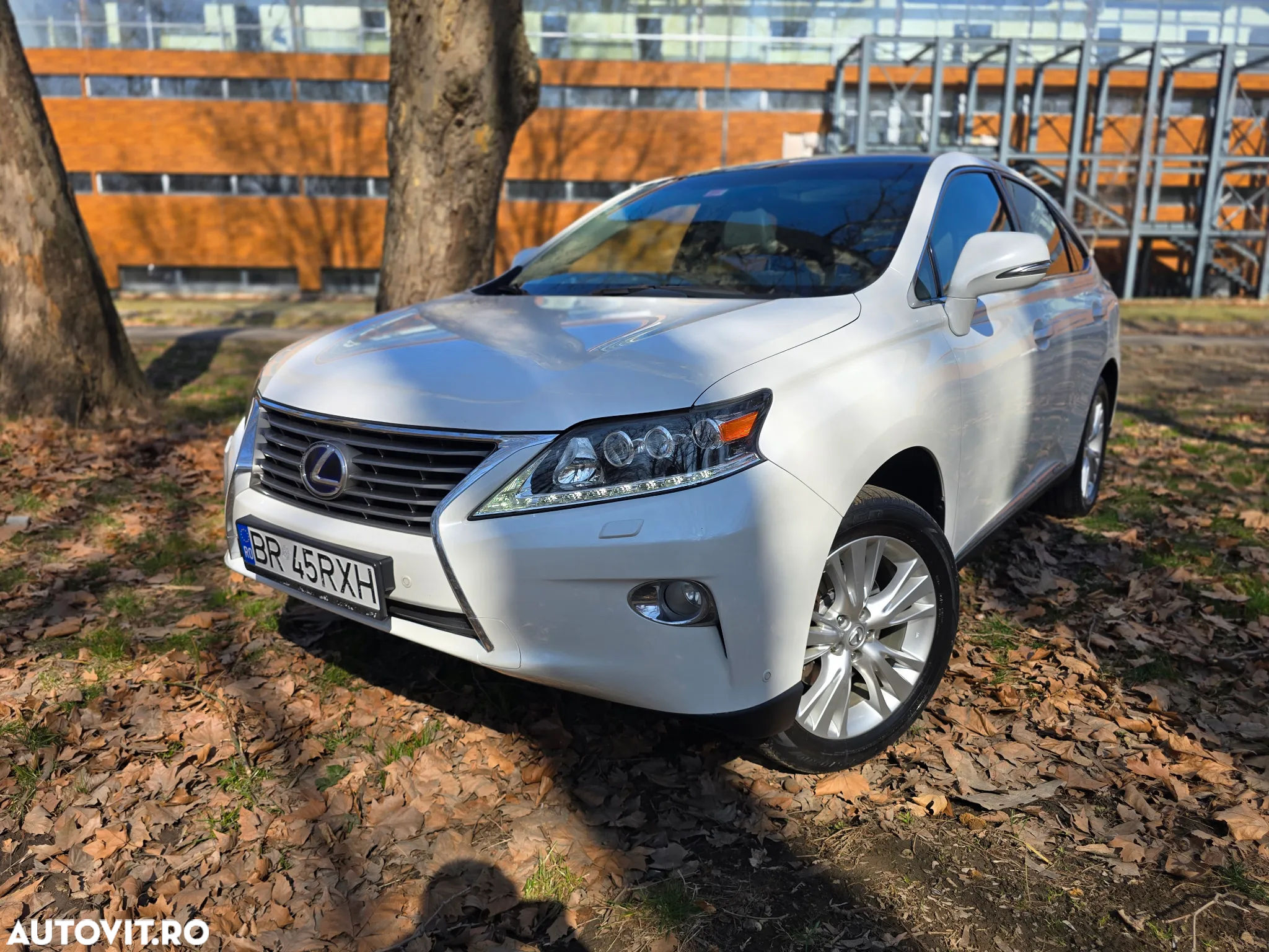 Lexus Seria RX 450h (hybrid) Executive Line - 9