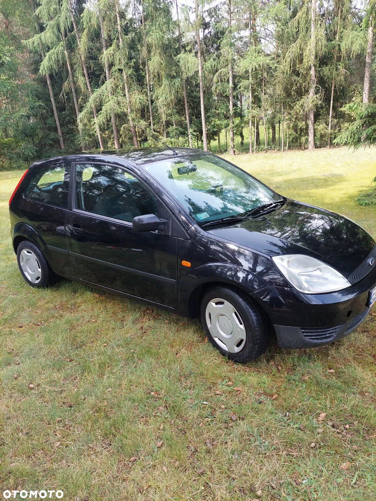 Ford Fiesta - 1