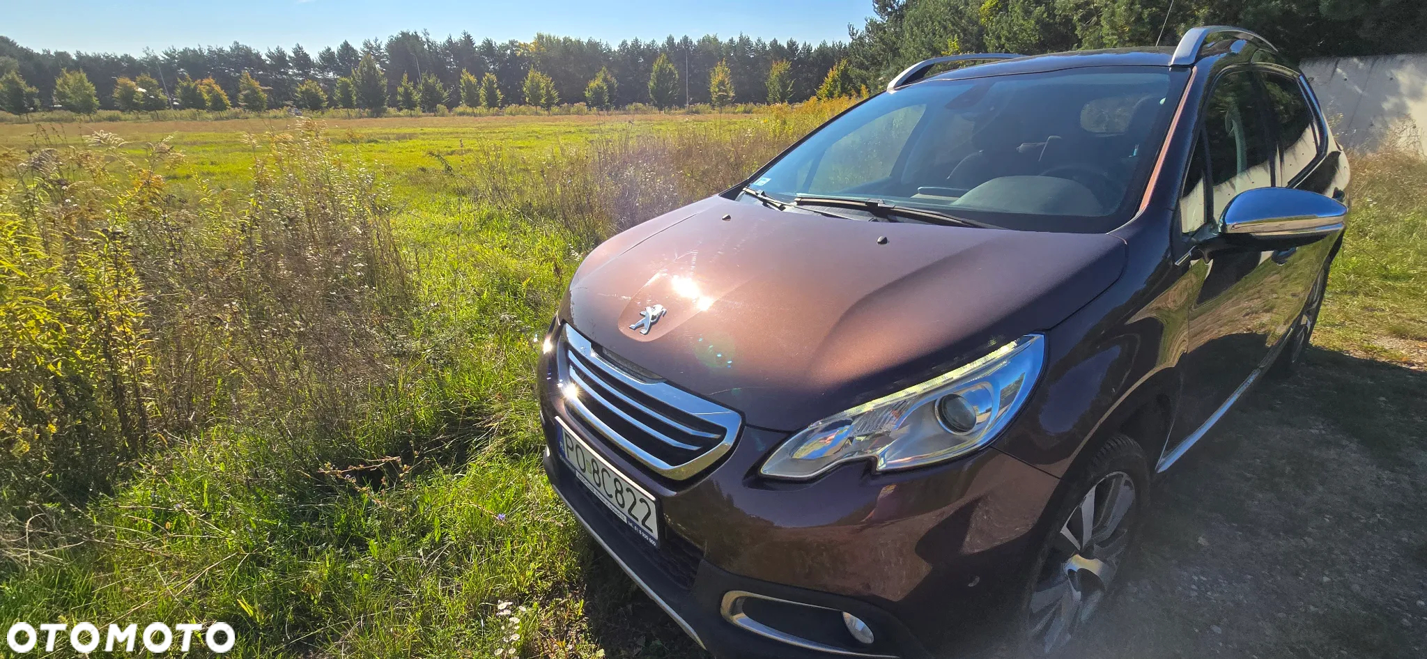 Peugeot 2008 1.6 VTi Allure - 8