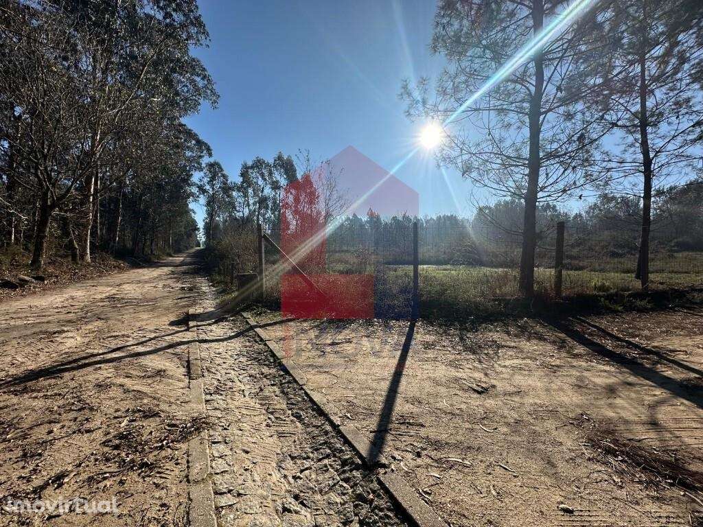 Terreno florestal, Lago - Grande imagem: 2/22