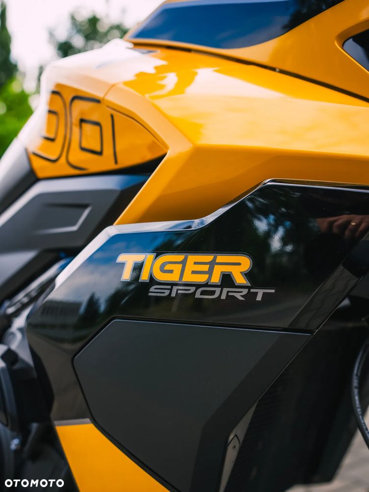 Triumph Tiger - 21