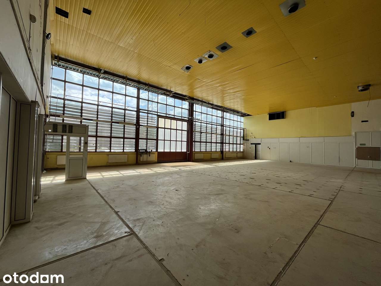 Powierzchnia magazynowa 332 m², widna, ciepła - View 2