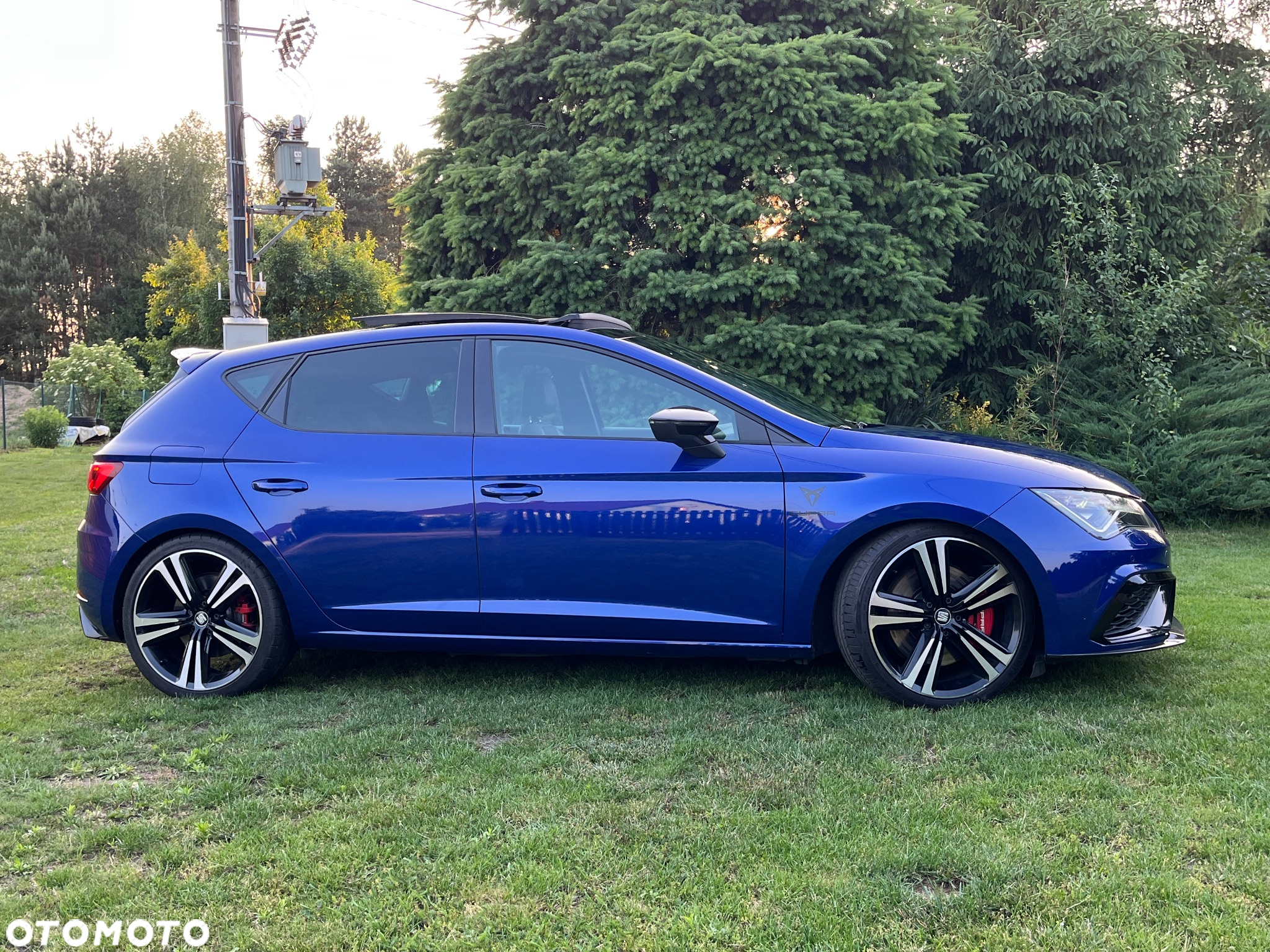 Seat Leon 2.0 TSI Cupra S&S DSG - 13