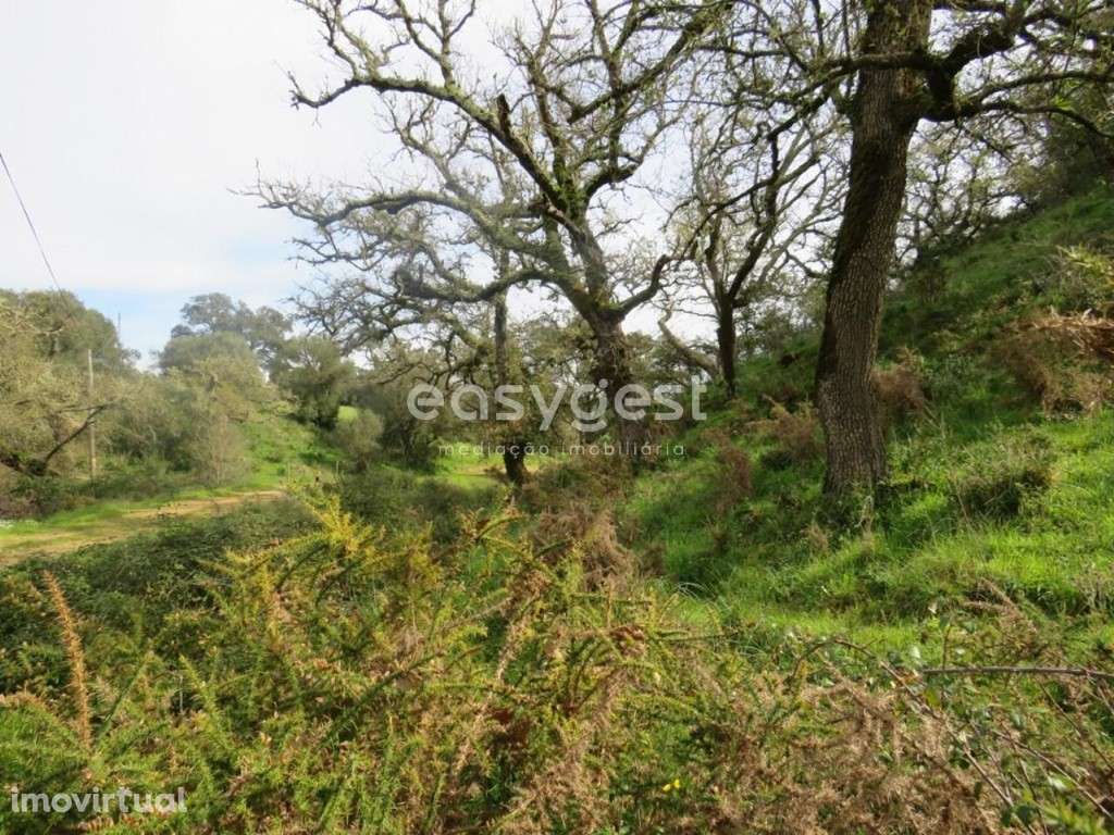 Herdade com 1.447.916 m2 localizada em São Luís, concelho de Odemira - Grande imagem: 4/48