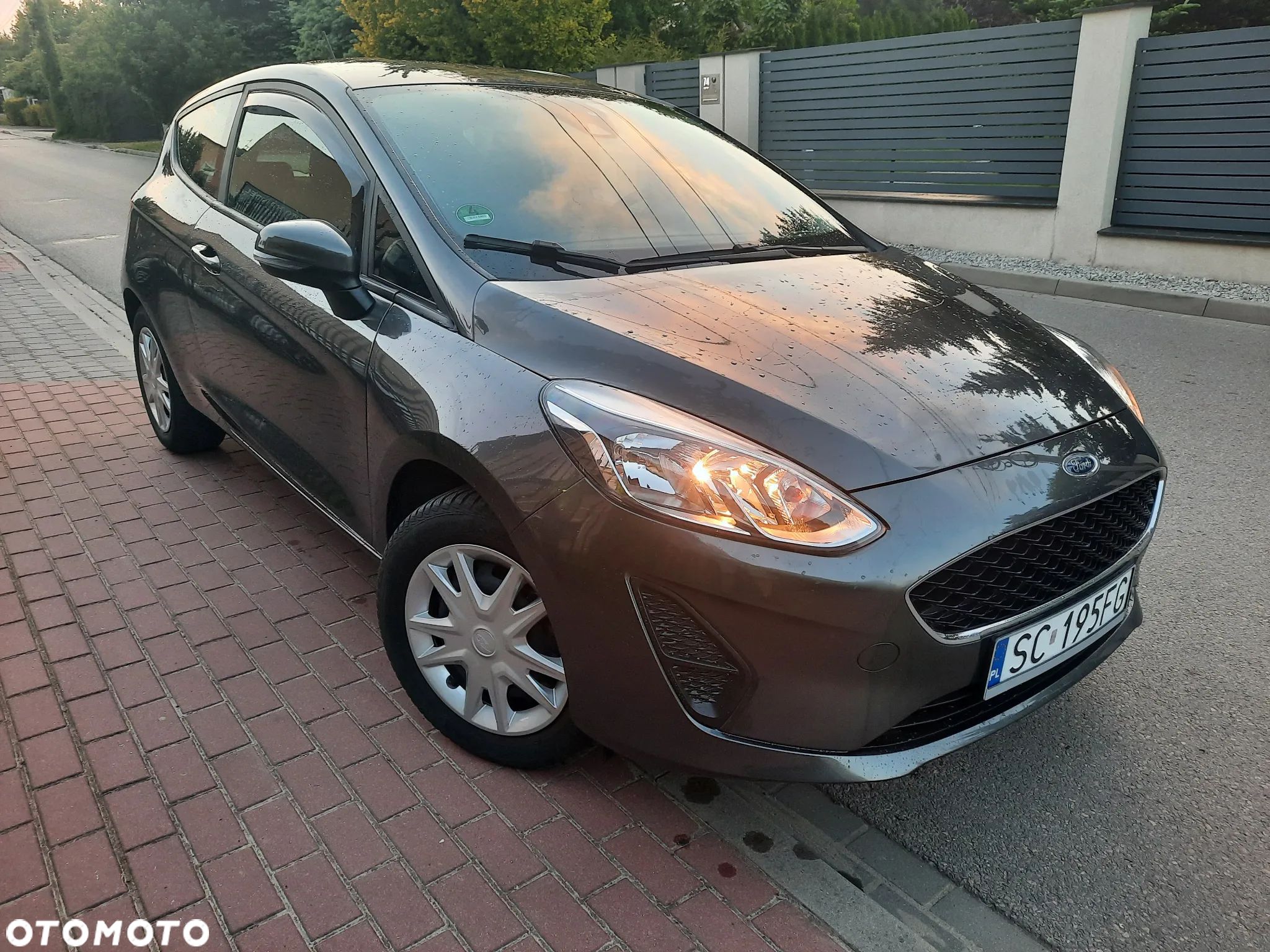 Ford Fiesta - 1