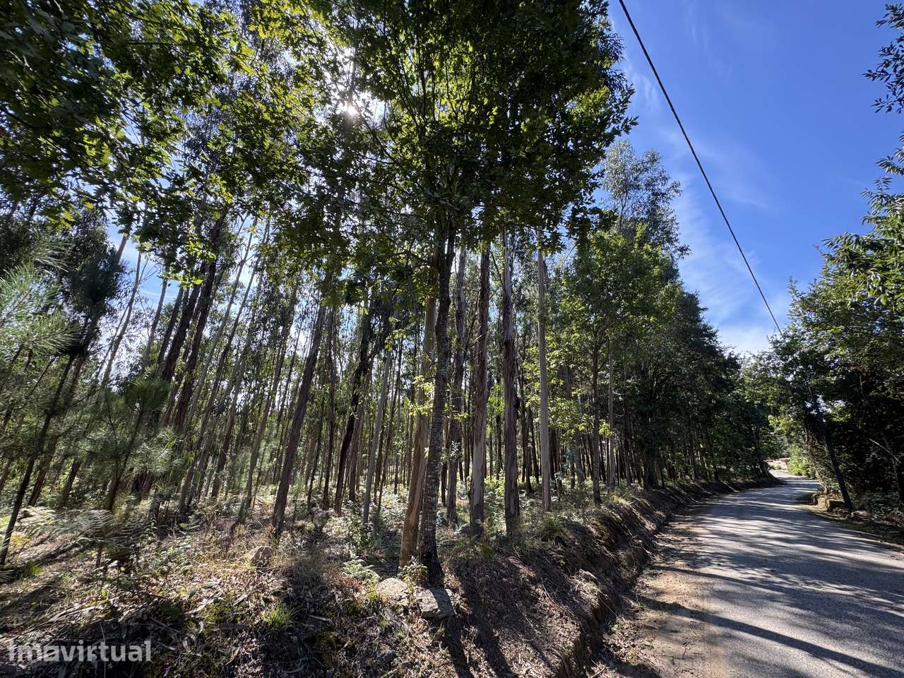Terreno Florestal com 600 m de Frente de Estrada | Freiriz, Vila Verde - Grande imagem: 4/9
