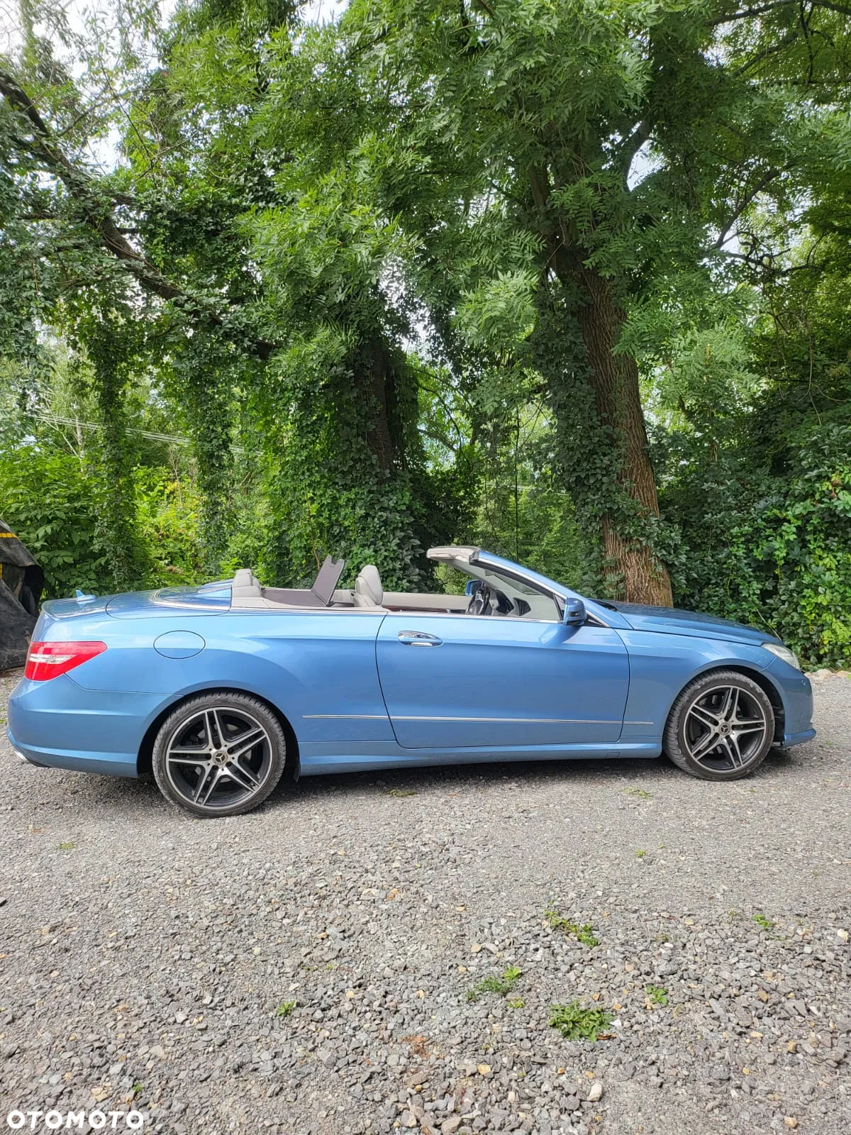 Mercedes-Benz Klasa E 500 Cabrio 7G-TRONIC Prime Edition - 7