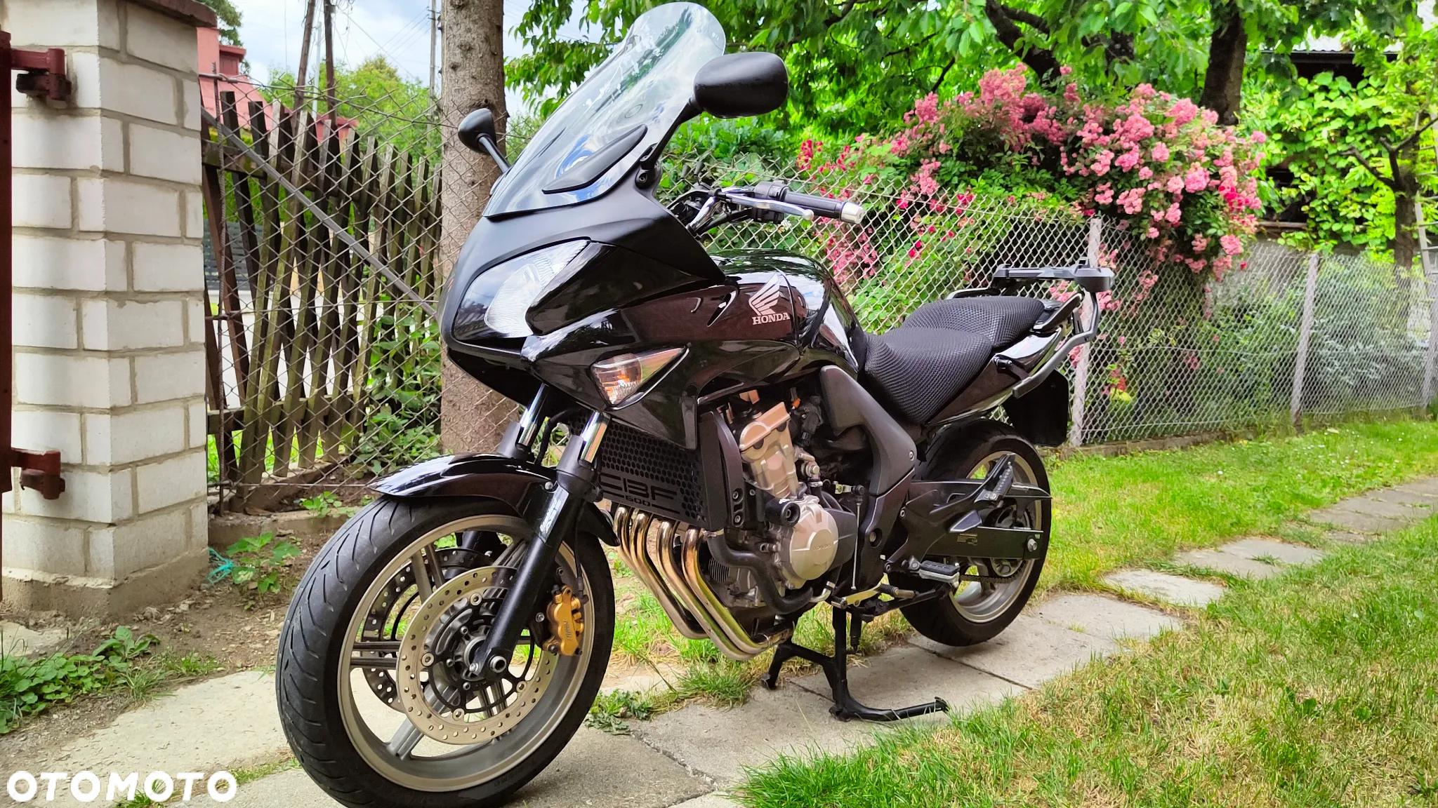 Honda CBF - 2