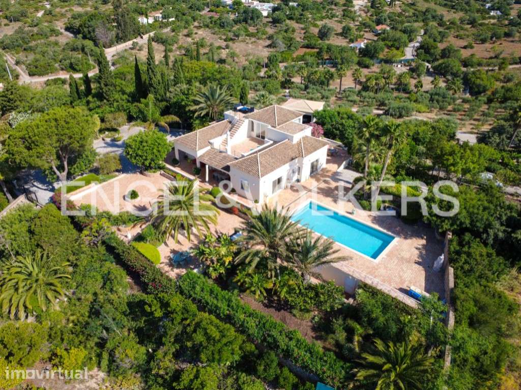Villa Serenity - Grande imagem: 3/45