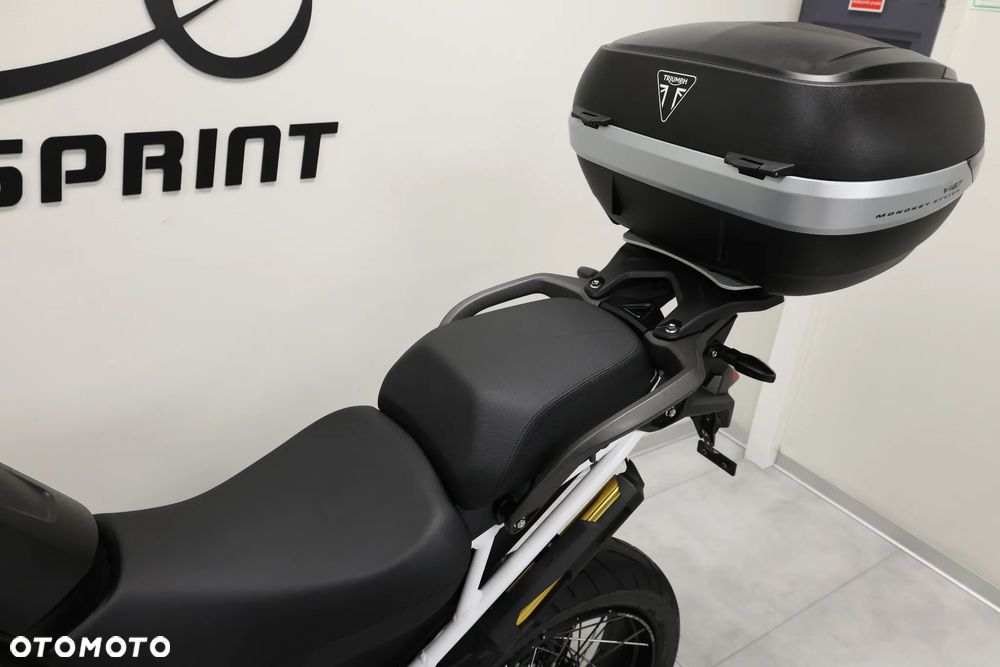 Triumph Tiger - 18