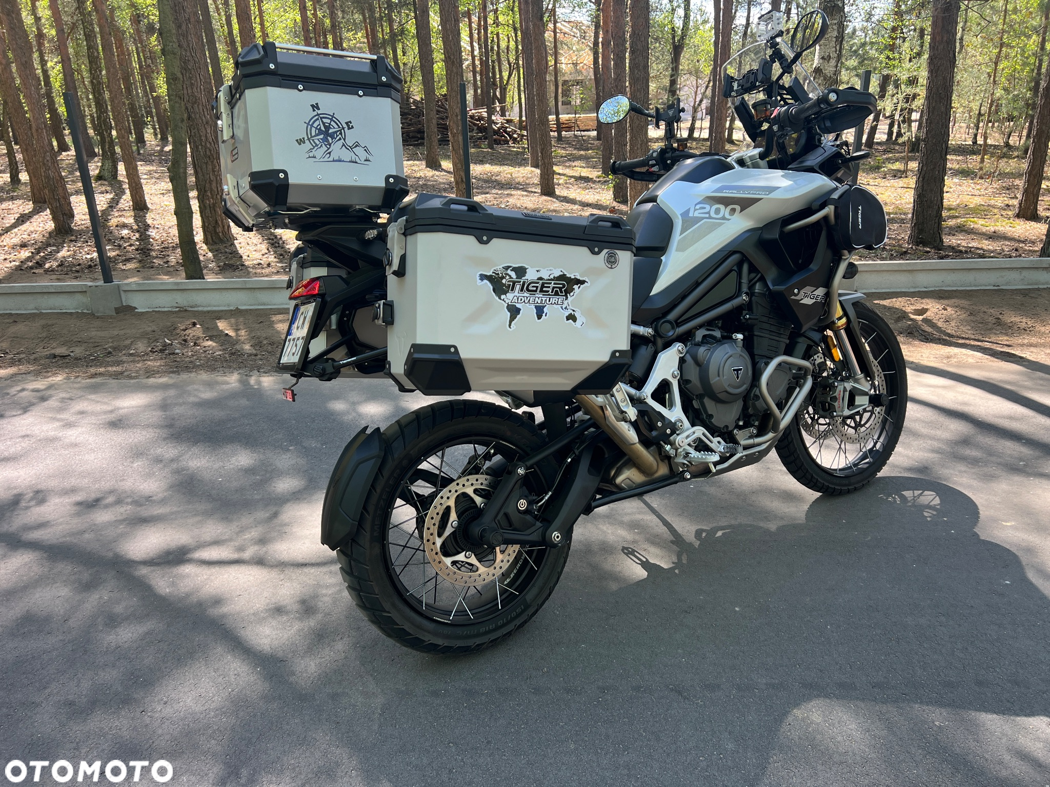 Triumph Tiger - 9