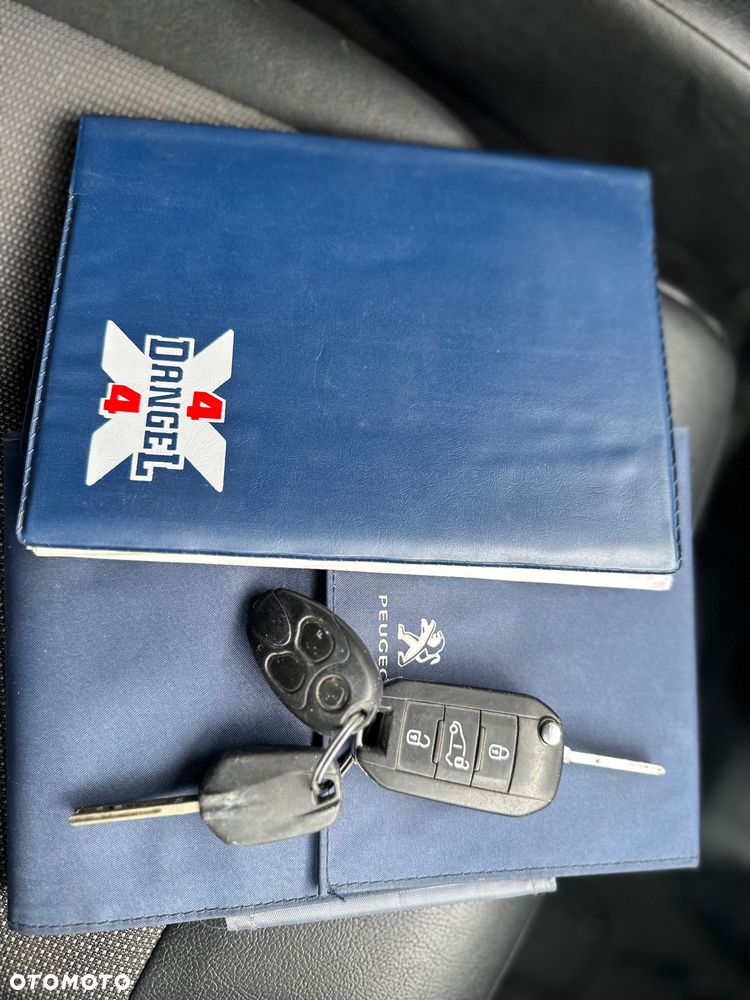 Peugeot Expert Dangel 4x4 - 30