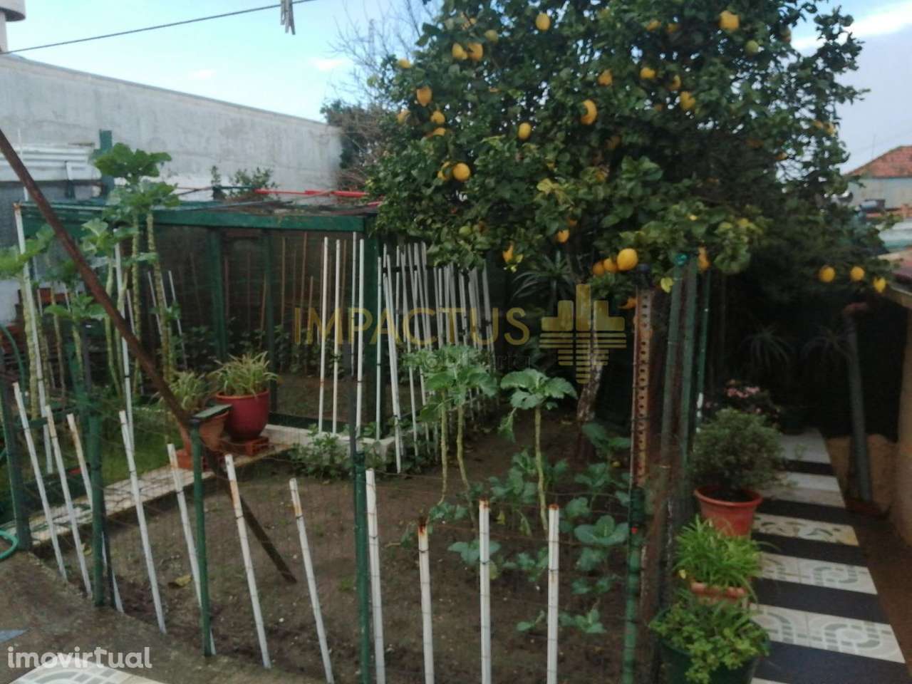 Casa tipo Ilha com 3 artigos - Grande imagem: 2/34