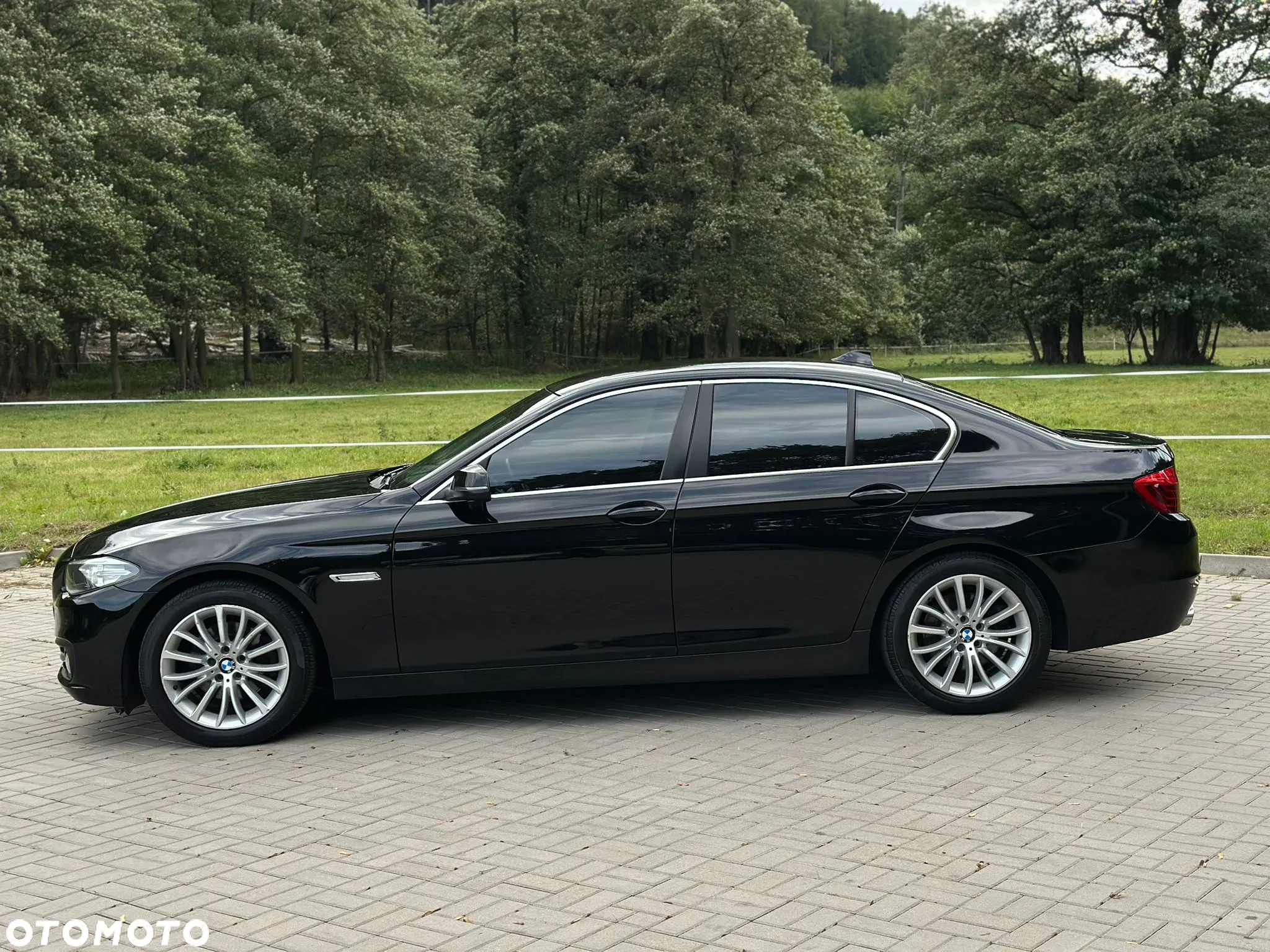 BMW Seria 5 520i Luxury Line - 2
