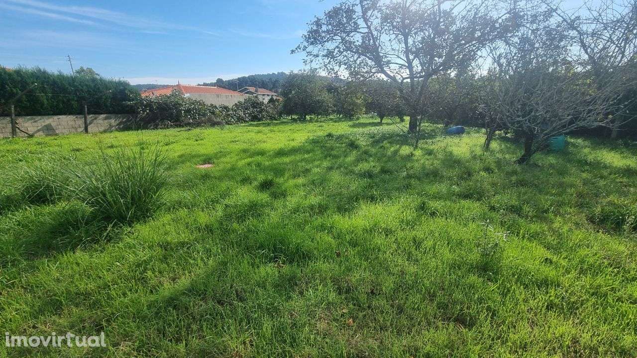 Terreno plano Nogueira da Regedoura - Grande imagem: 2/6