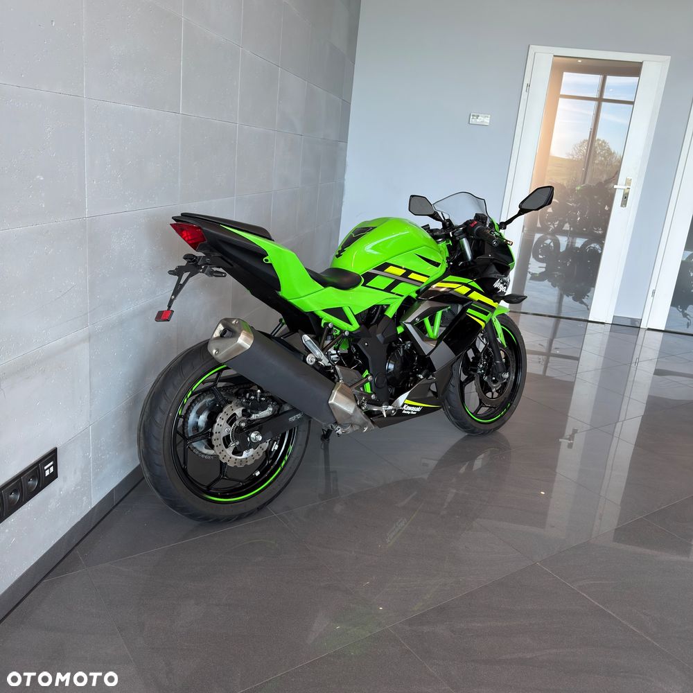 Kawasaki Ninja - 3