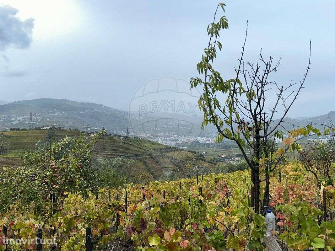 Terreno  para venda - Grande imagem: 4/14