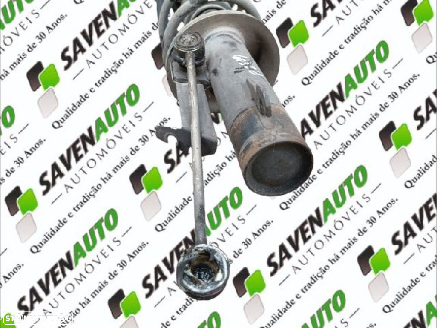 Amortecedor Suspensão Ford Transit Connect (P65_, P70_, P80_) - 3