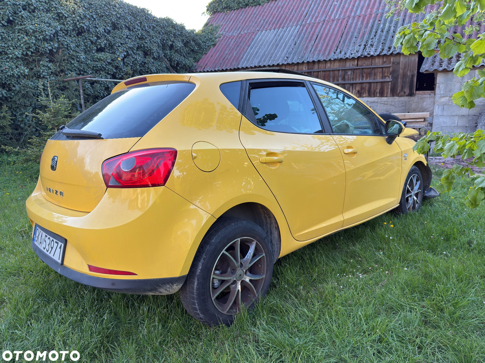 Seat Ibiza 1.9 TDI DPF Reference - 4