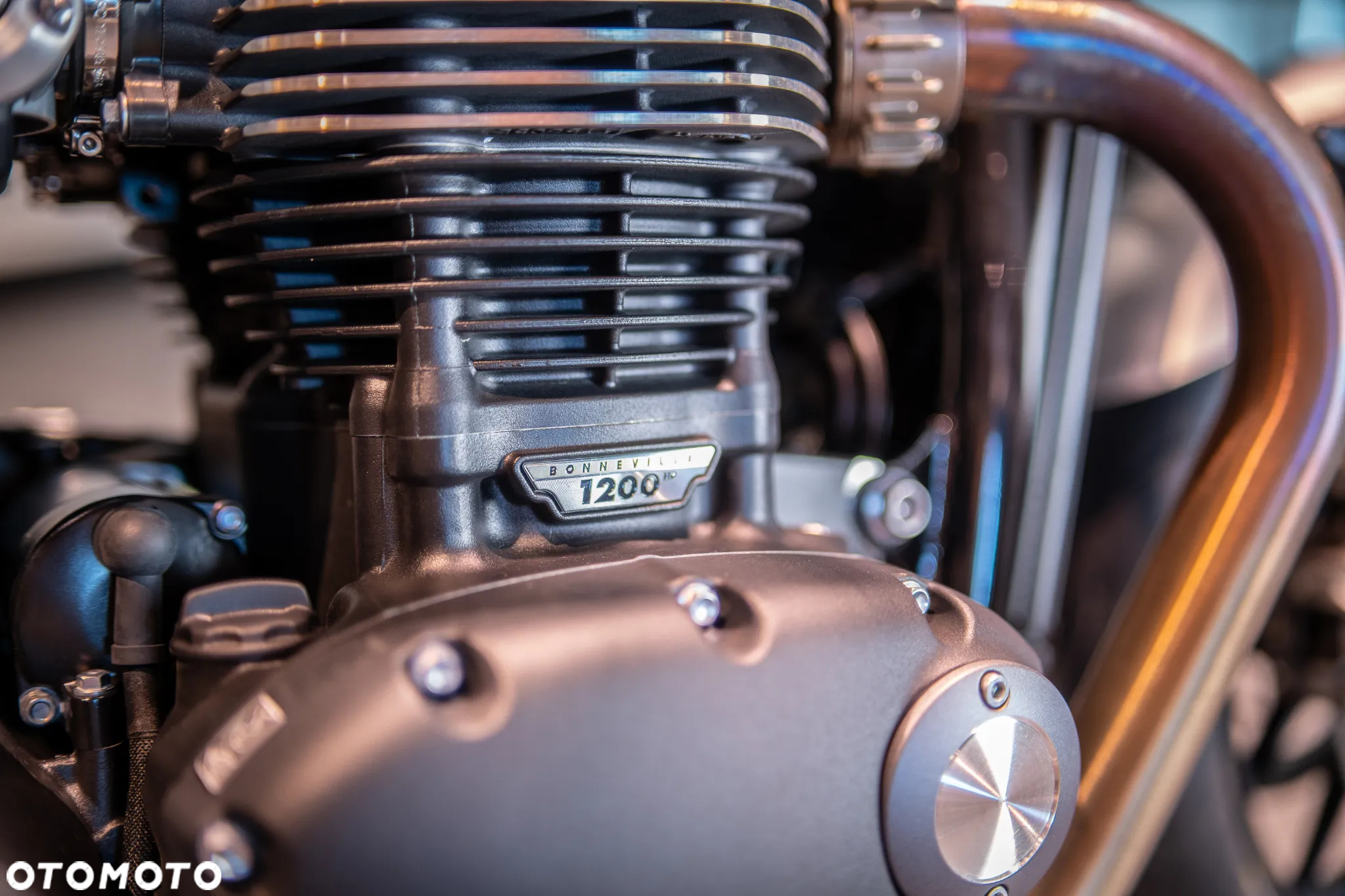 Triumph Speed Twin - 27