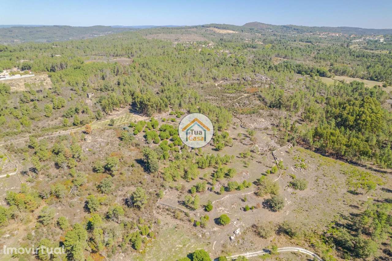 Terreno Rústico com viabilidade de construção em Mangualde - Grande imagem: 5/37