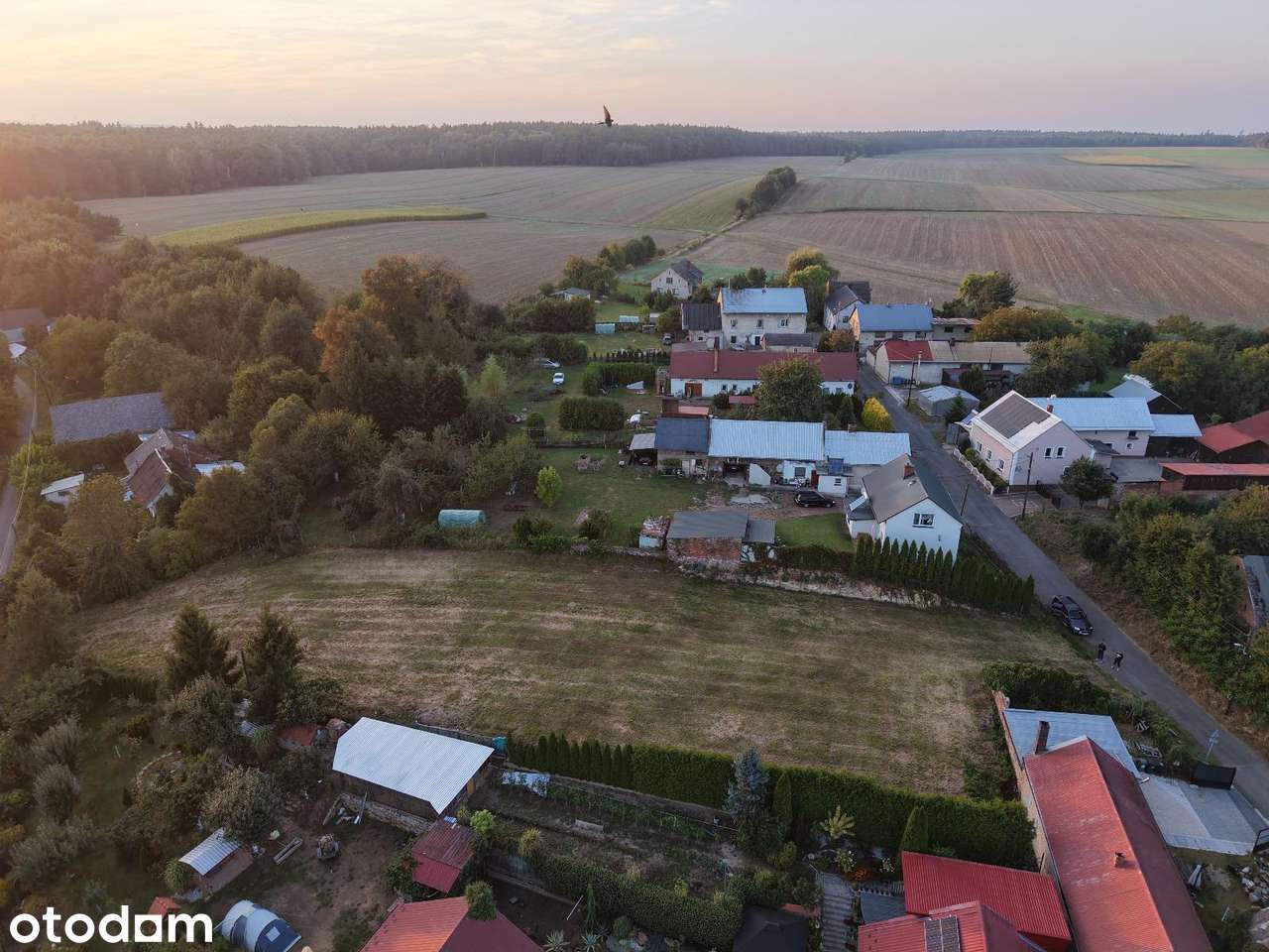 Na sprzedaż działka budowlana – 2000 m², blisko Głubczyc - Pełny obrazek: 3/3
