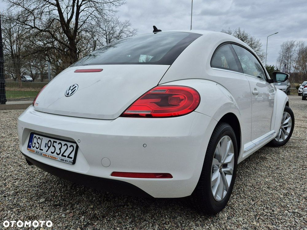 Volkswagen Beetle - 16