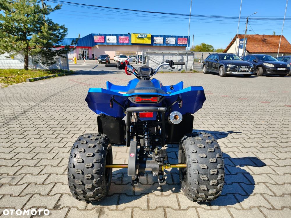 Linhai ATV - 6