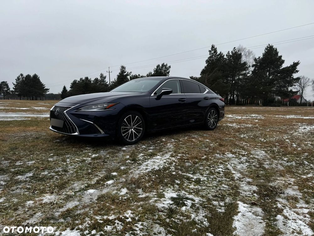 Lexus ES 300h Omotenashi