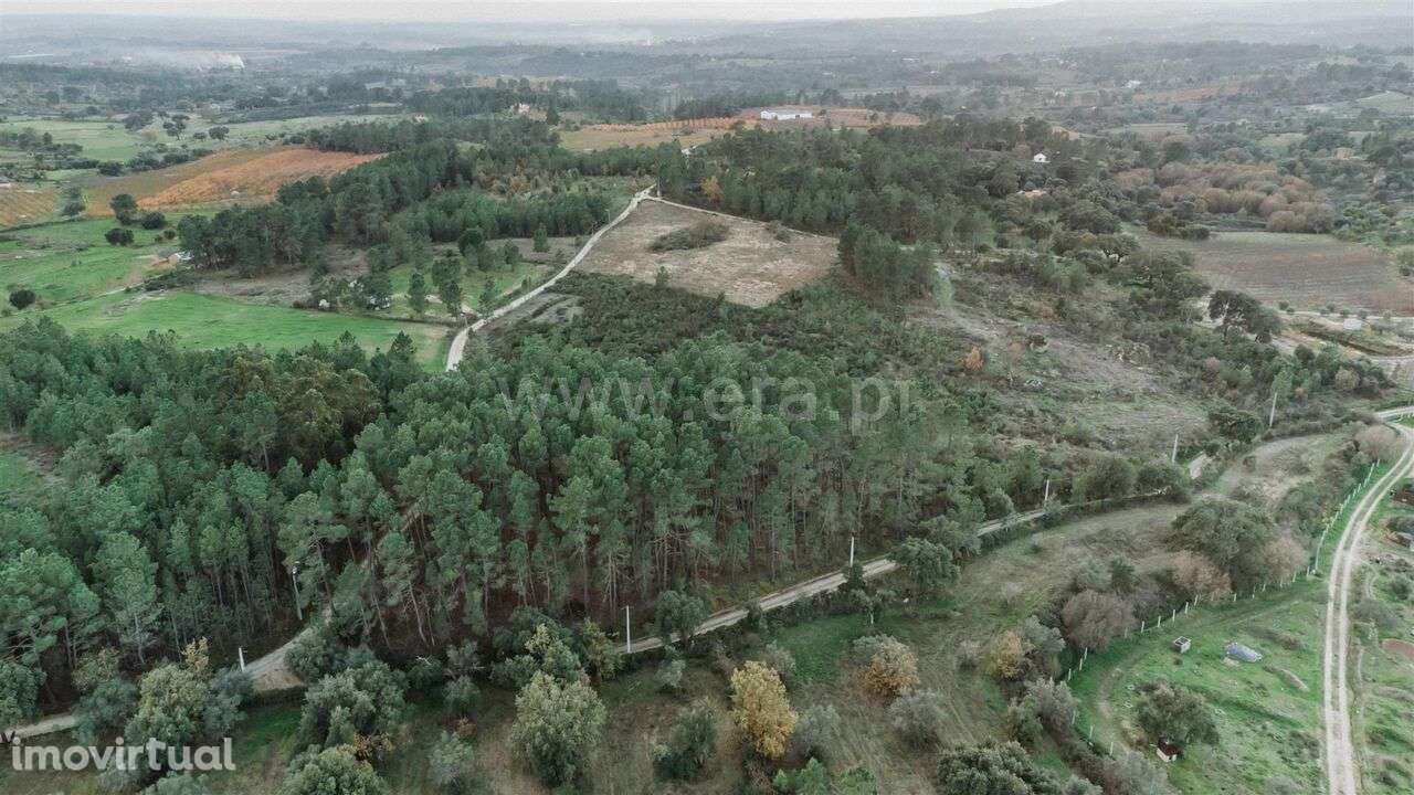 Terreno / Fundão, Vale de Prazeres e Mata da Rainha - Grande imagem: 5/6