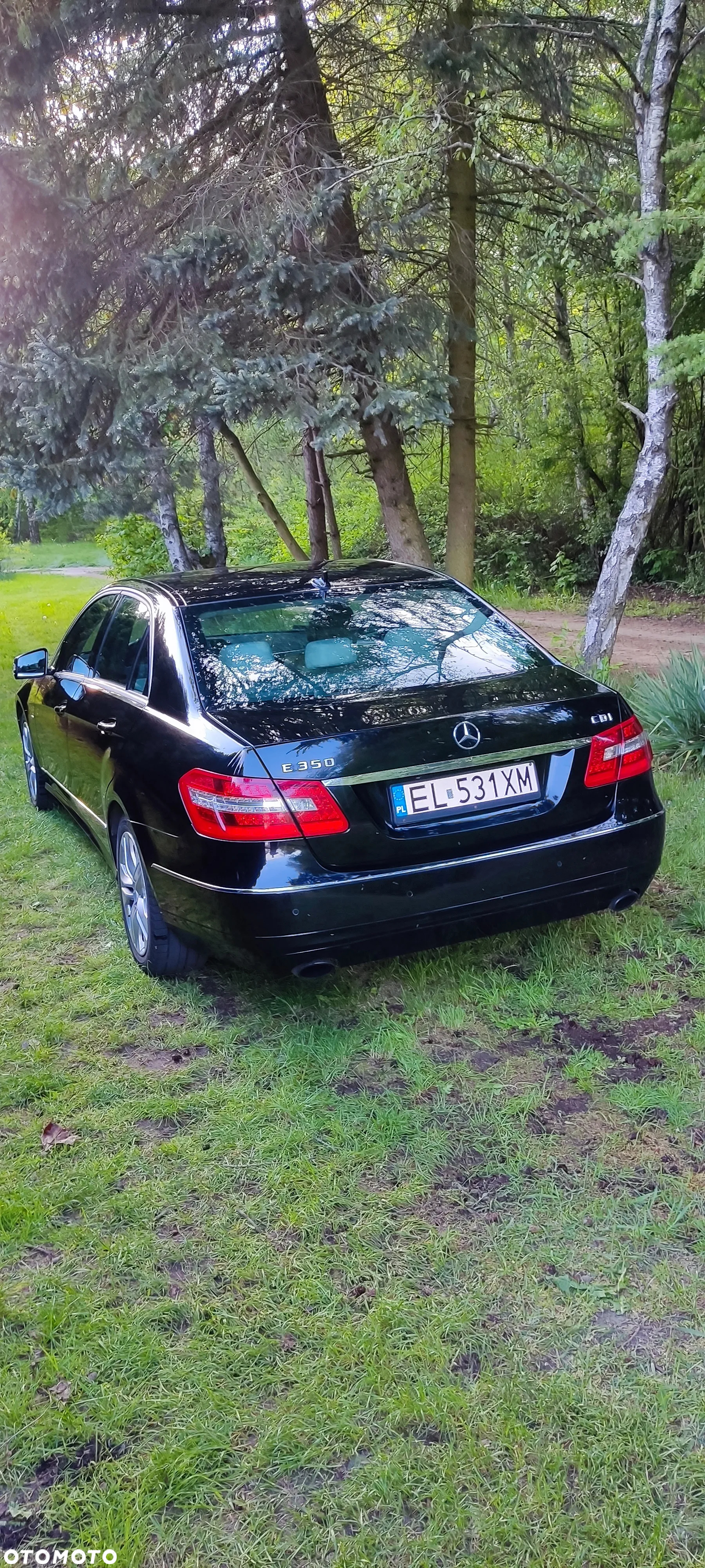 Mercedes-Benz Klasa E 350 CDI BlueEff Avantgarde - 9