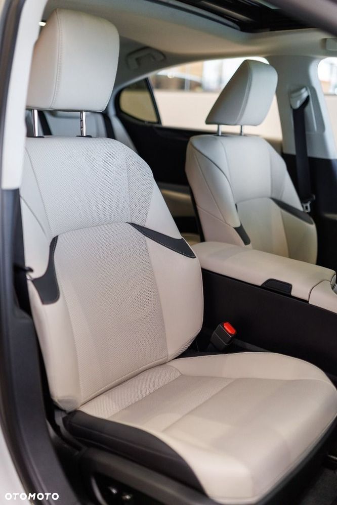Lexus ES 300h F Sport Design - 21