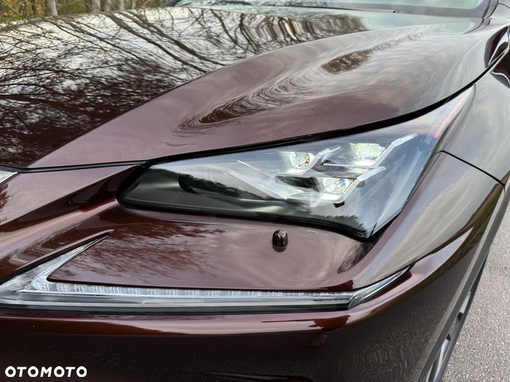 Lexus NX 300h F Impression AWD - 10