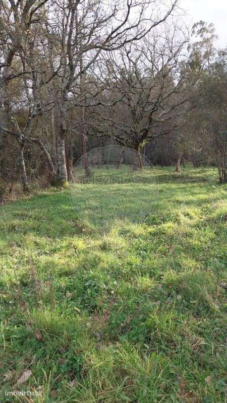 Terreno  para venda - Grande imagem: 5/7