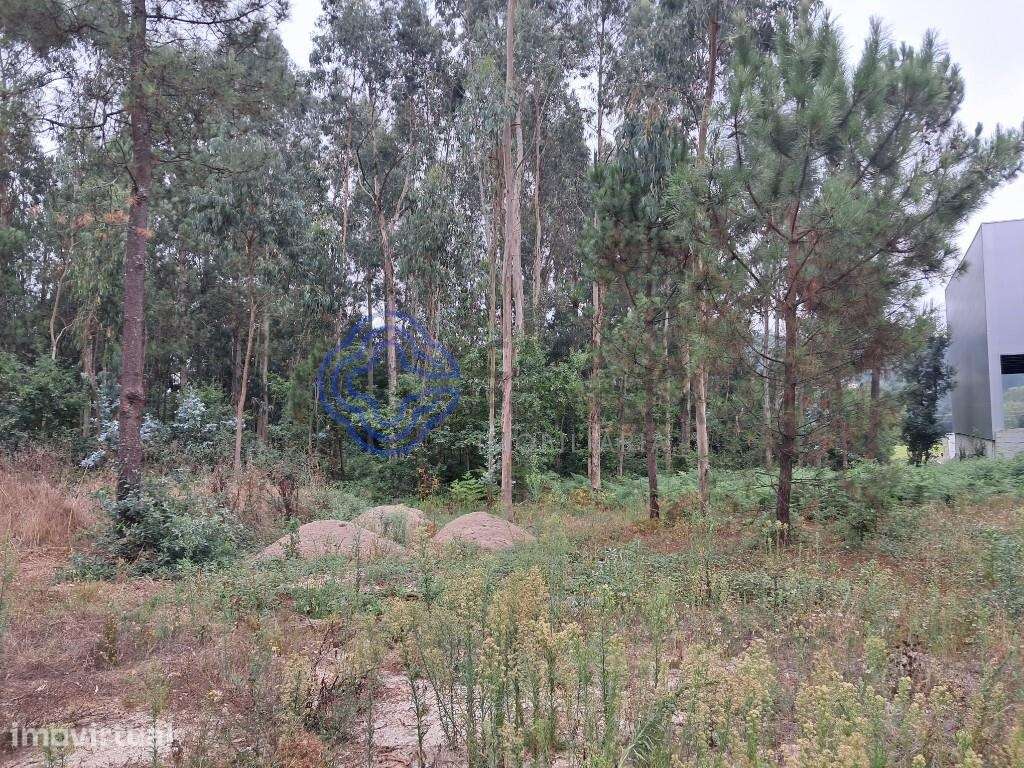 Terreno Industrial  com  3200m2 - Grande imagem: 3/10