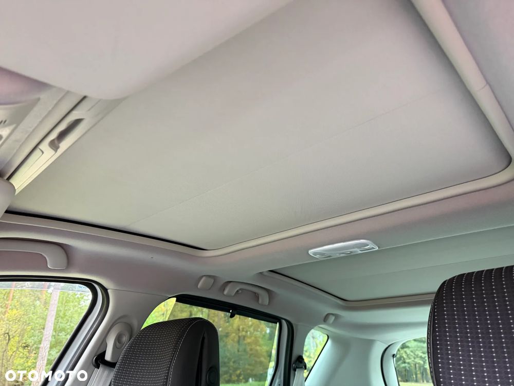 Renault Scenic - 29