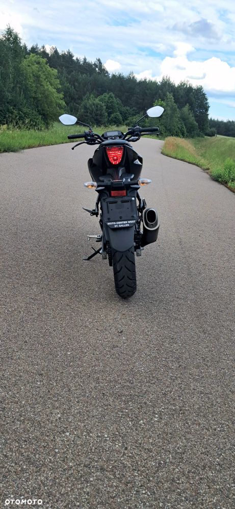 Suzuki GSX - 17