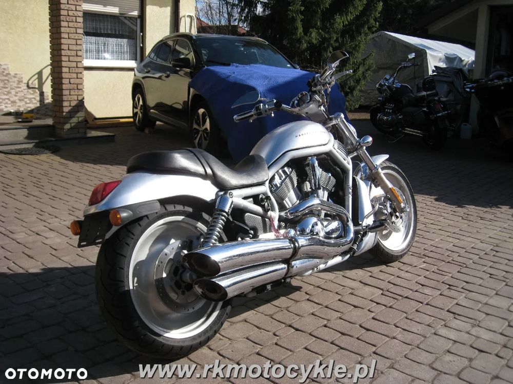 Harley-Davidson Softail V-Rod - 3
