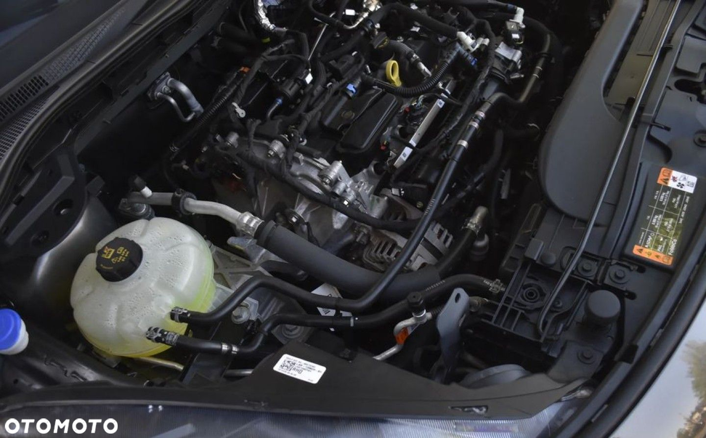 Ford Escape 1.5 EcoBoost AWD SE - 20