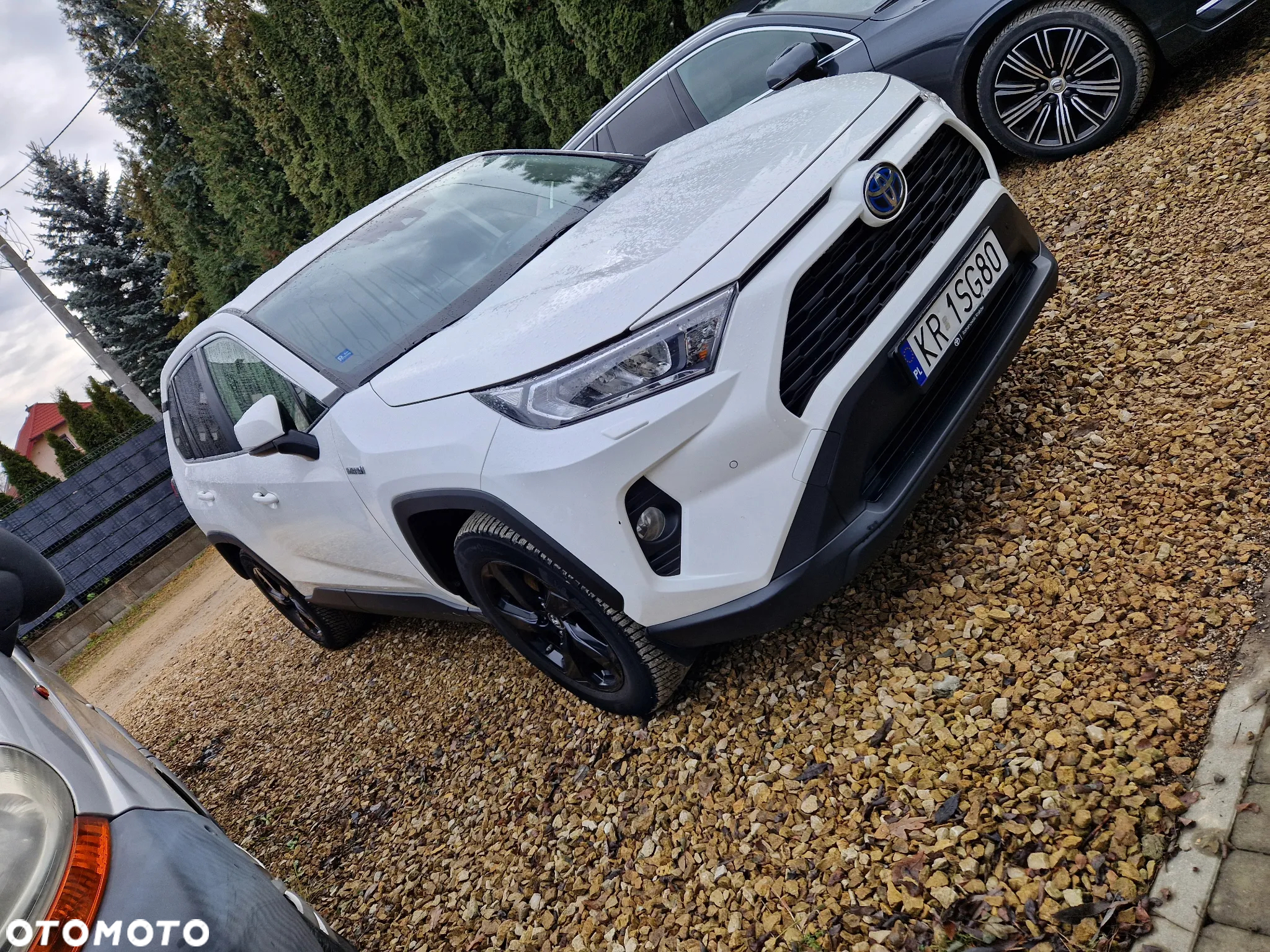 Toyota RAV4 2.5 Hybrid Active 4x4 - 5