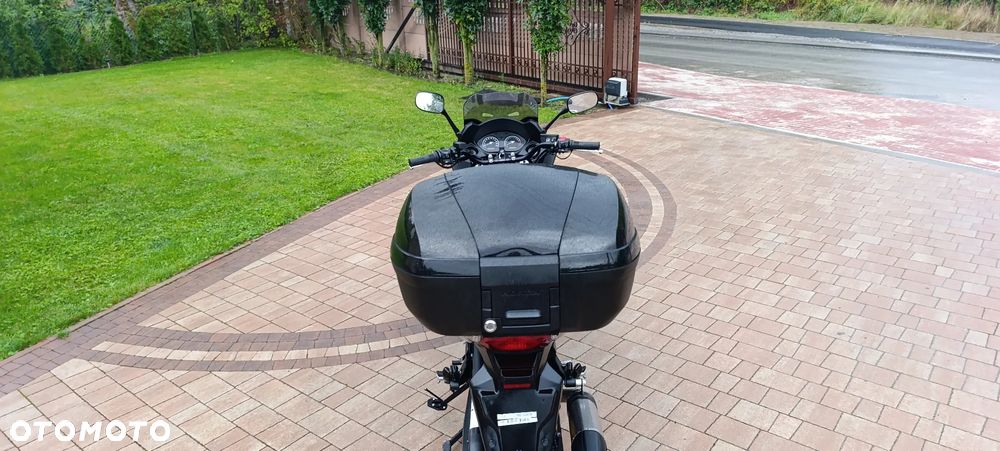 Honda CBF - 8