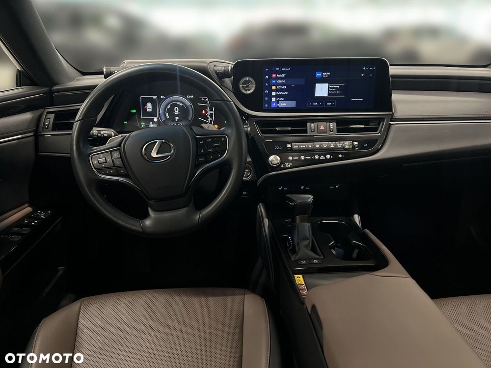 Lexus ES 300h F Sport Design - 19