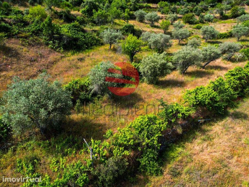 QUINTINHA - Grande imagem: 3/11